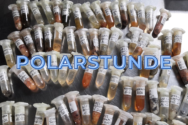 Polarstunde 2025/26 erfolgreich gestartet